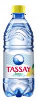 Тассай (TASSAY) 0,5 л. минеральная со вкусом лимона без газа ПЭТ (12шт)